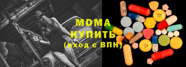 шишки Надым