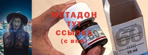 шишки Надым