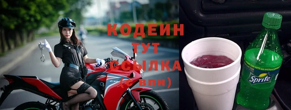 шишки Надым