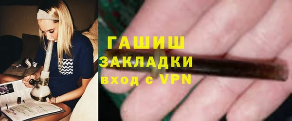 шишки Надым