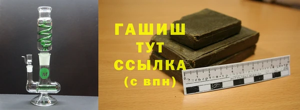 шишки Надым