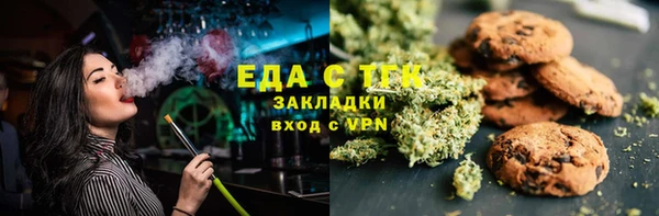шишки Надым