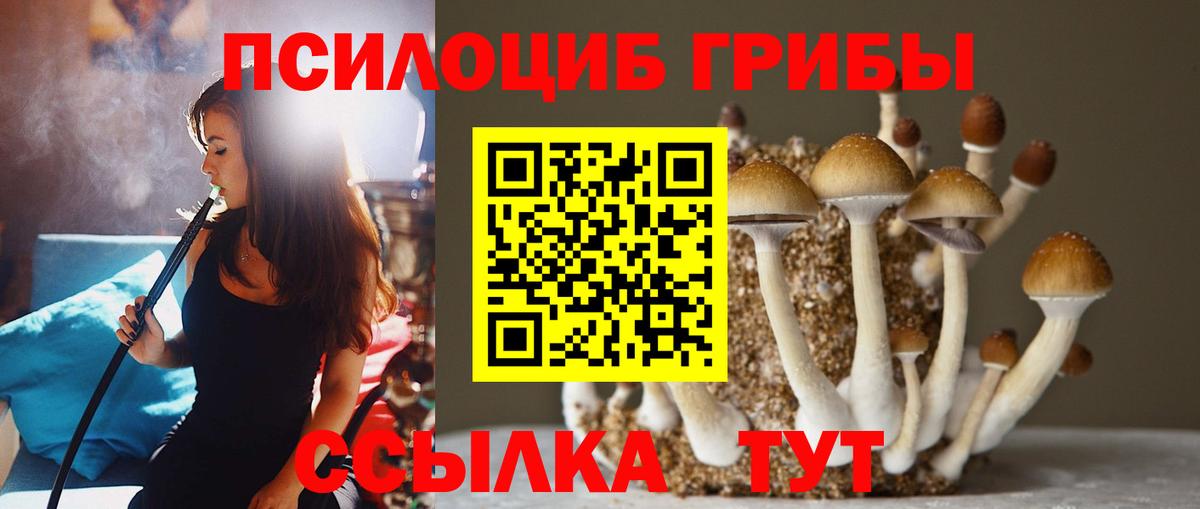 Псилоцибиновые грибы Magic Shrooms Батайск